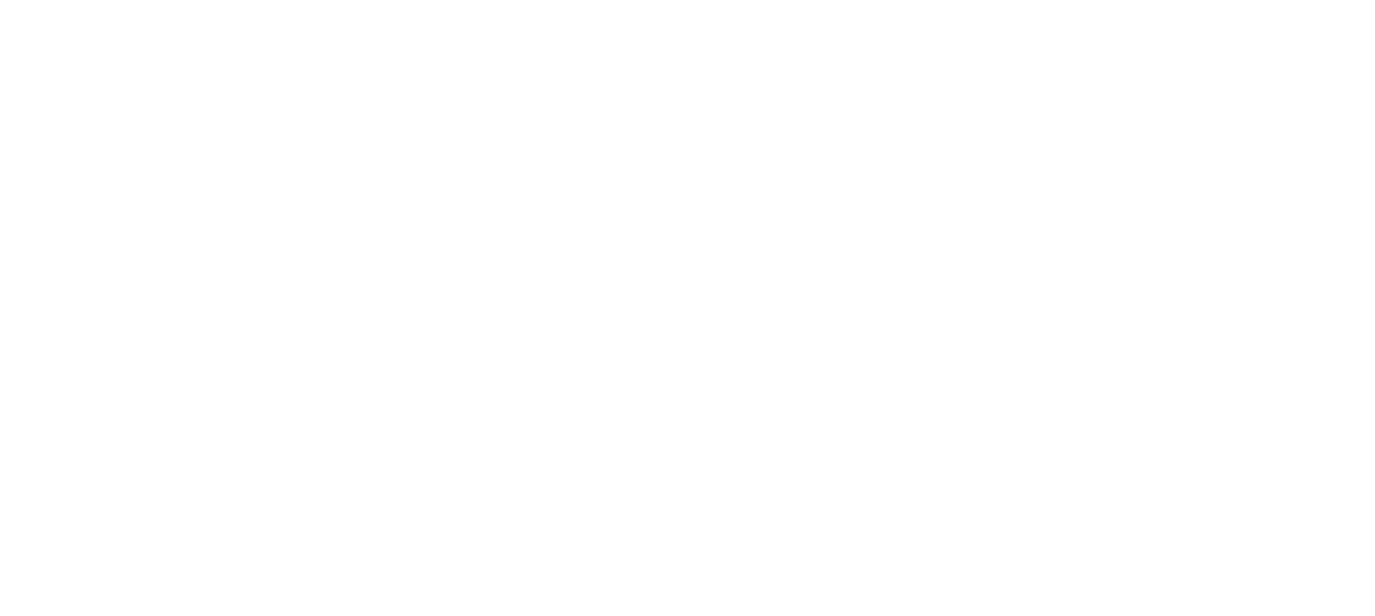LOGO BLANCO 1